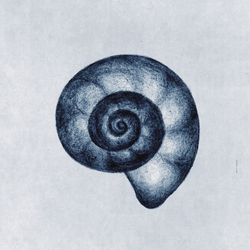 FÔLEGO N.92
