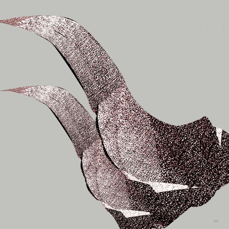 ABSTRACT - BIRDS 1978