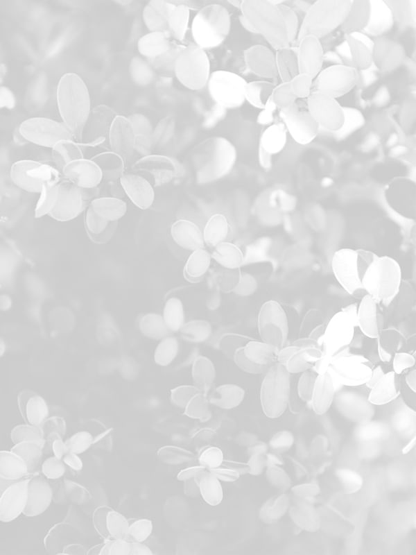 COLEÇÃO WHITE - FOLHAGEM 01