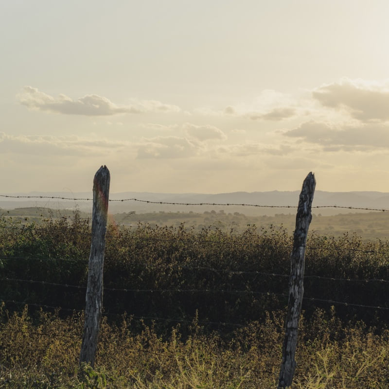 FIM DE TARDE NA FAZENDA - QUADRADO