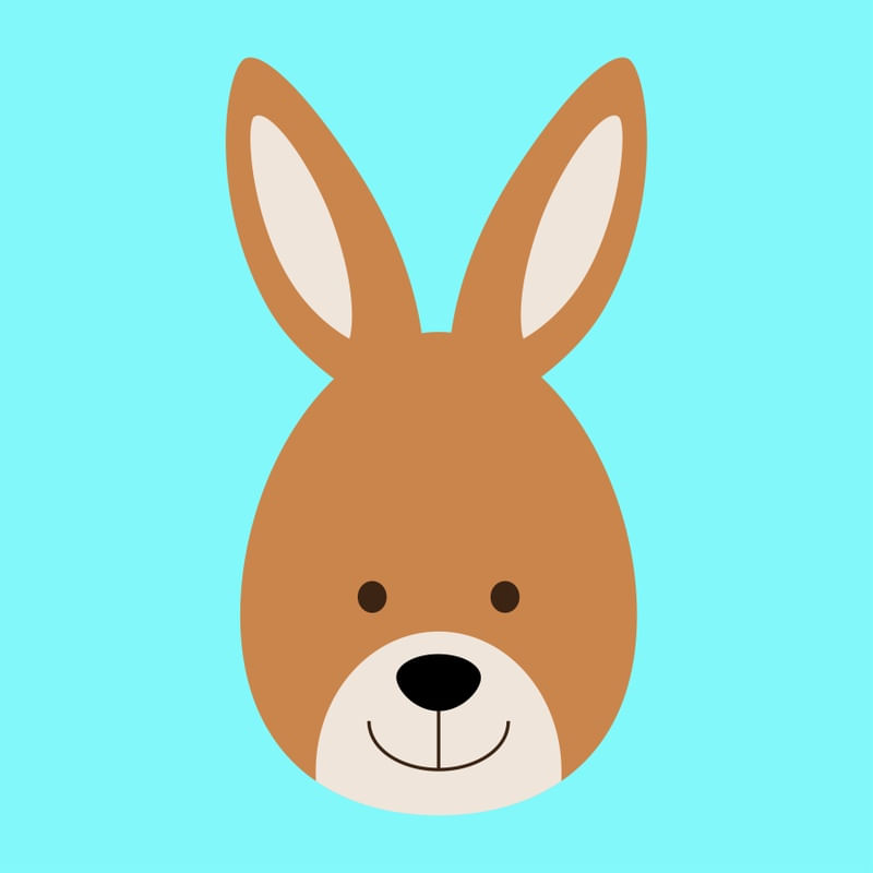 ANIMAIS XV
