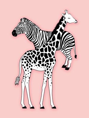 ESTAMPA DE ANIMAL ROSA