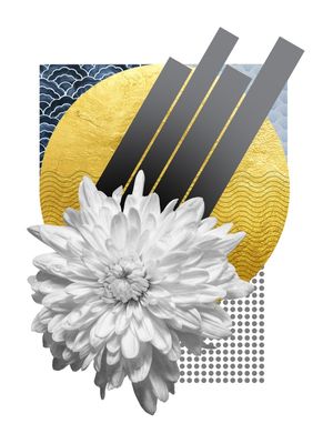 SÉRIE OURO 01