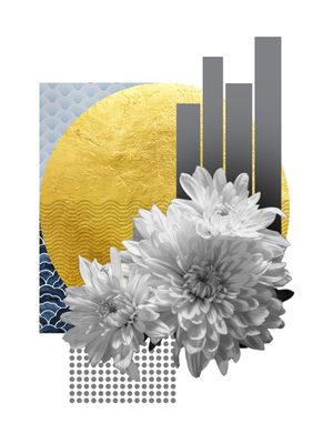 SÉRIE OURO 02