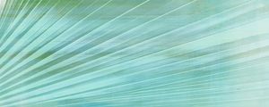 ABSTRACT NATURE LINES GREEN