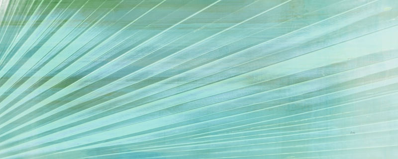 ABSTRACT NATURE LINES GREEN