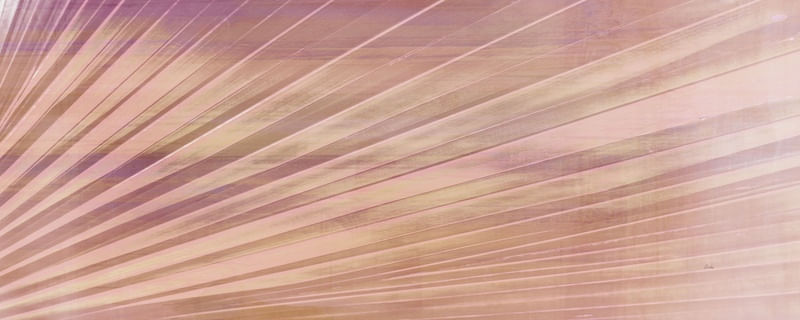ABSTRACT NATURE LINES COOPER