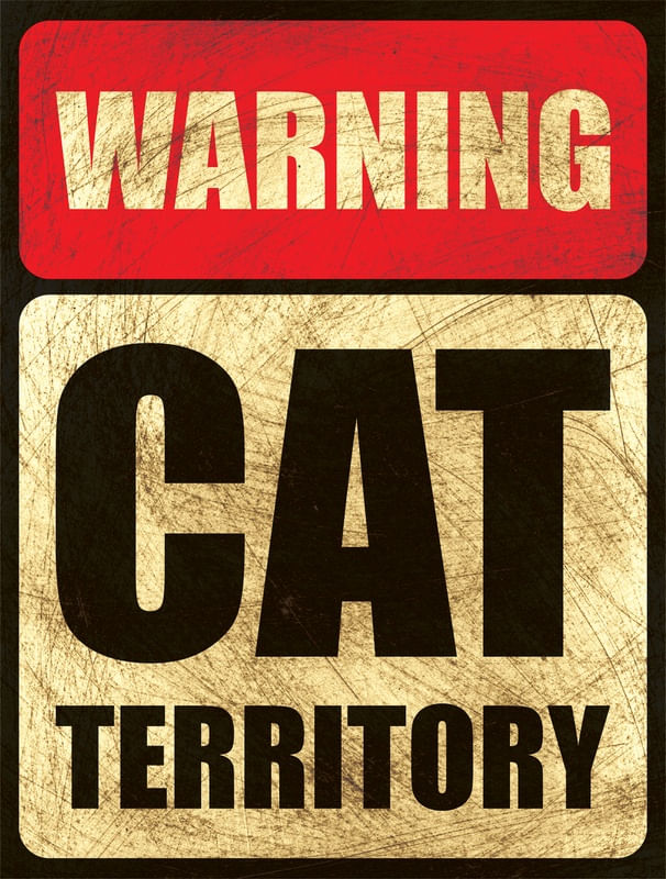 CAT TERRITORY