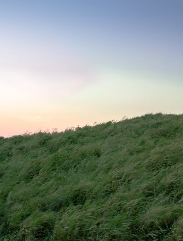 FIELDS OF GREEN