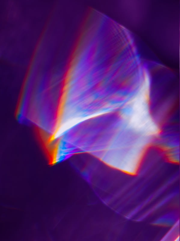 PURPLE LADY