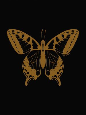 BLACK MOTH
