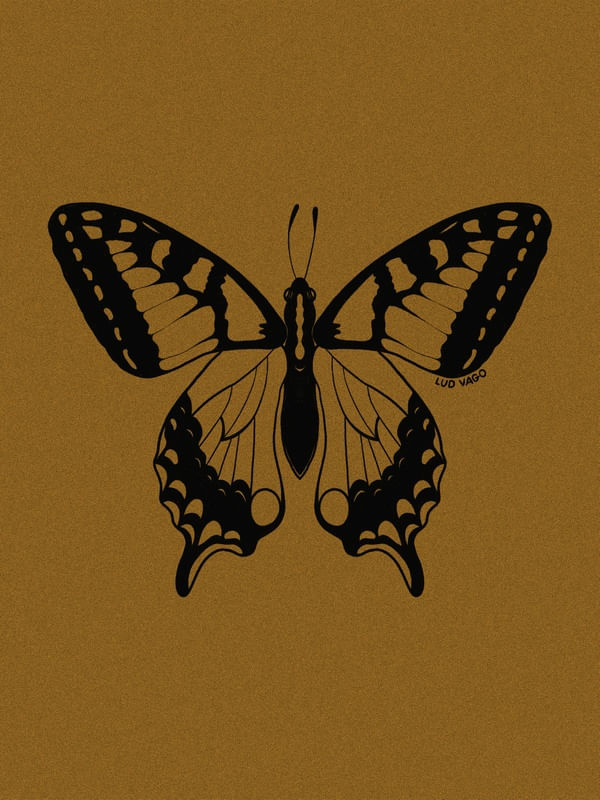 GOLDEN MOTH