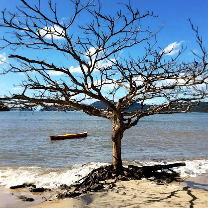 PRAIA PARATY