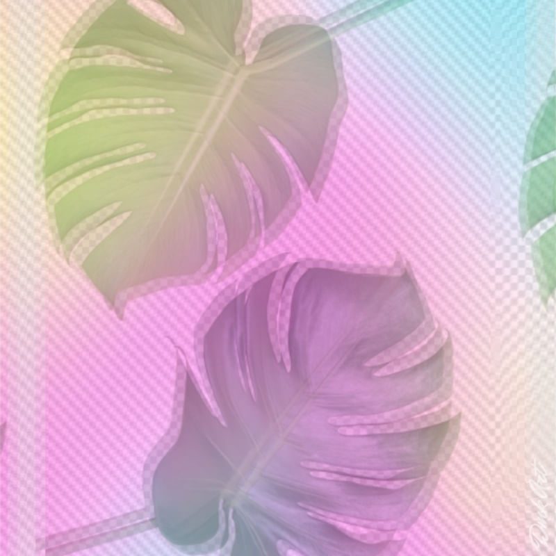 NATURE VIBES