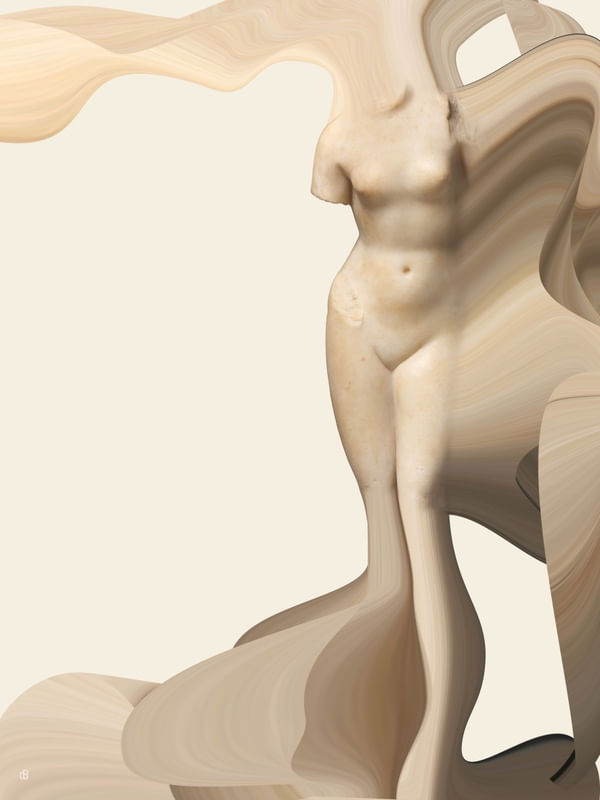 APROPRIAÇÃO TORSO 2