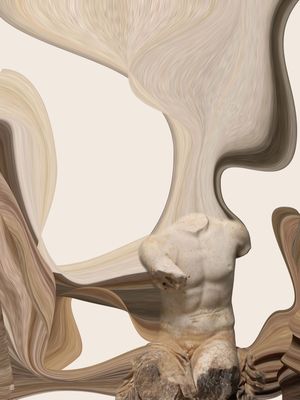 APROPRIAÇÃO TORSO 6
