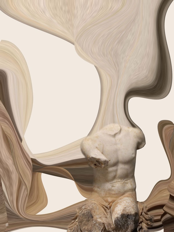 APROPRIAÇÃO TORSO 6