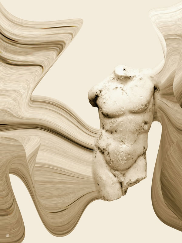 APROPRIAÇÃO TORSO 8