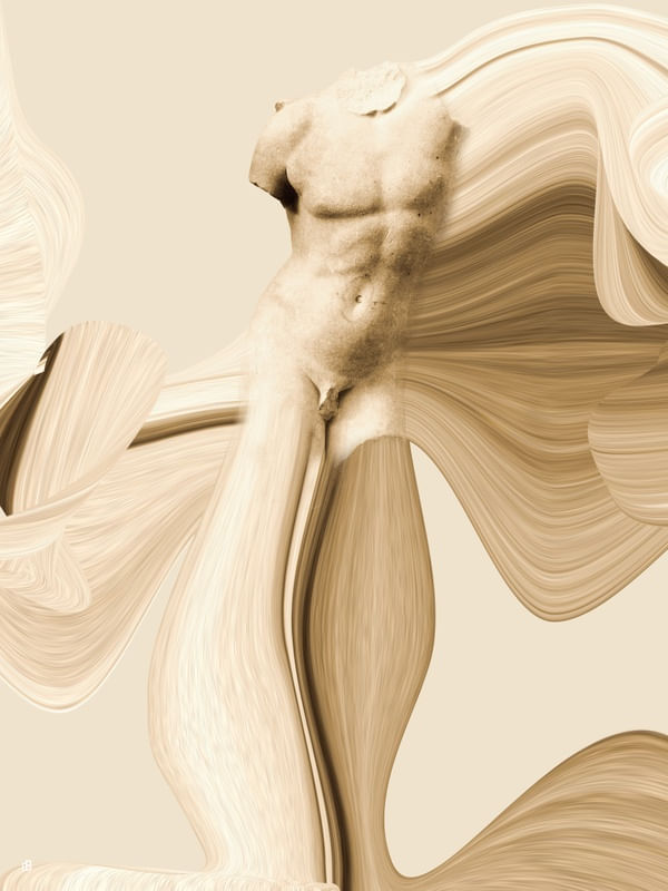 APROPRIAÇÃO TORSO 10