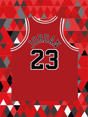 MICHAEL JORDAN JERSEY