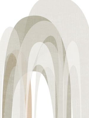ARCADAS 56