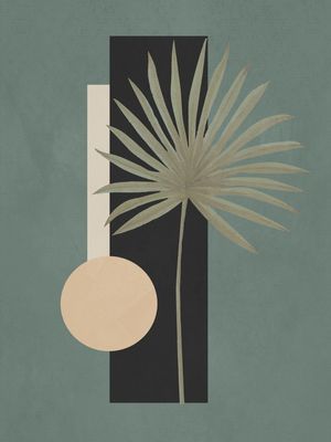 TROPICAL GEOMETRY 22
