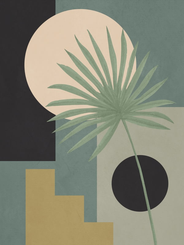 TROPICAL GEOMETRY 23