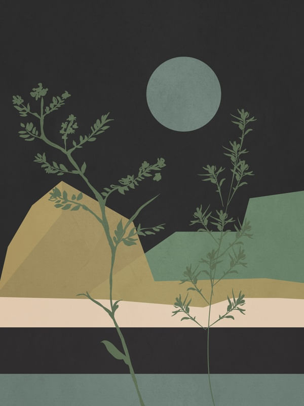 MINIMAL GEOMETRIC LANDSCAPE 9