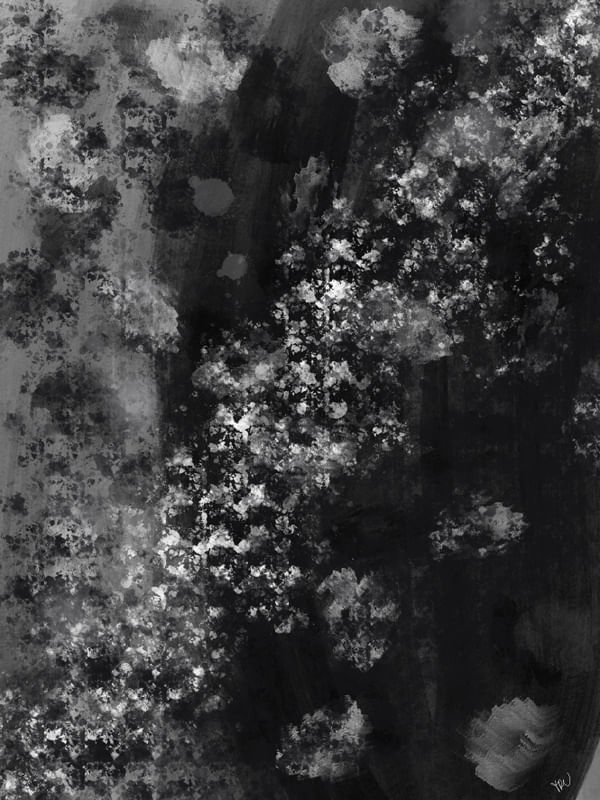 TRC DARK