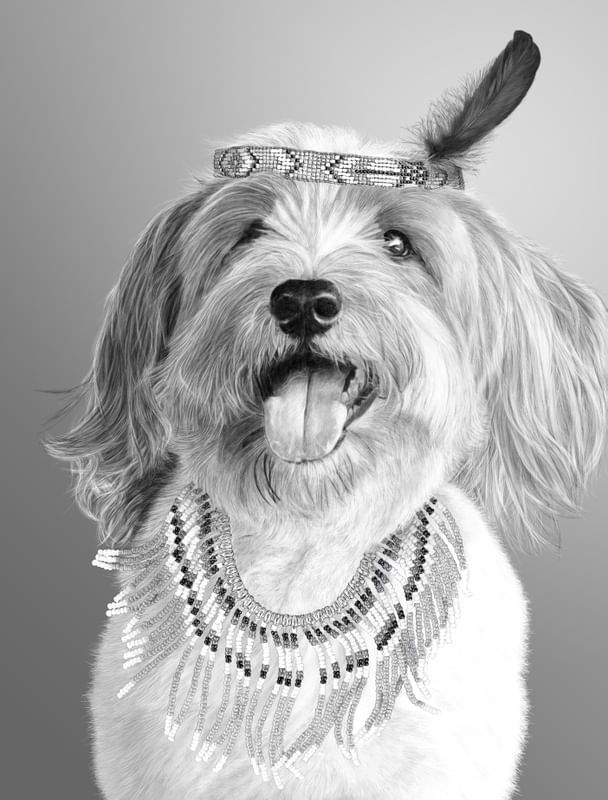 TRIBE DOG ONYX