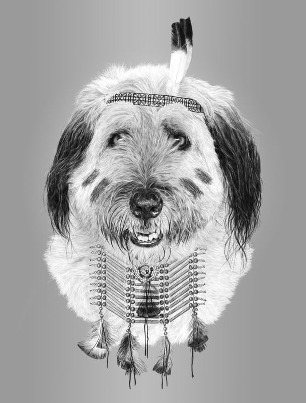 TRIBE DOG INDY
