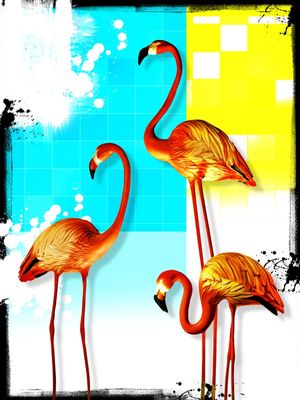 POP FLAMINGOS