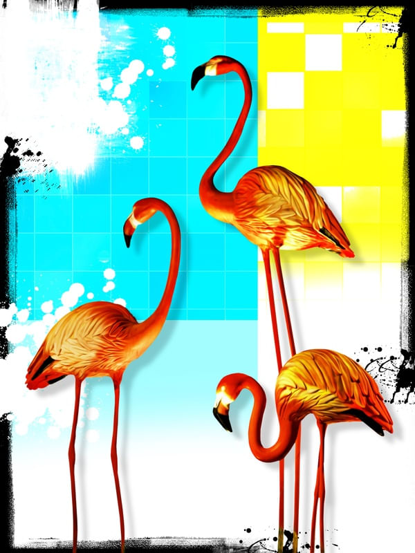 POP FLAMINGOS