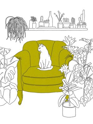 FELINO NA FLORESTA URBANA - AMARELO