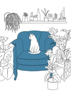 FELINO NA FLORESTA URBANA - AZUL