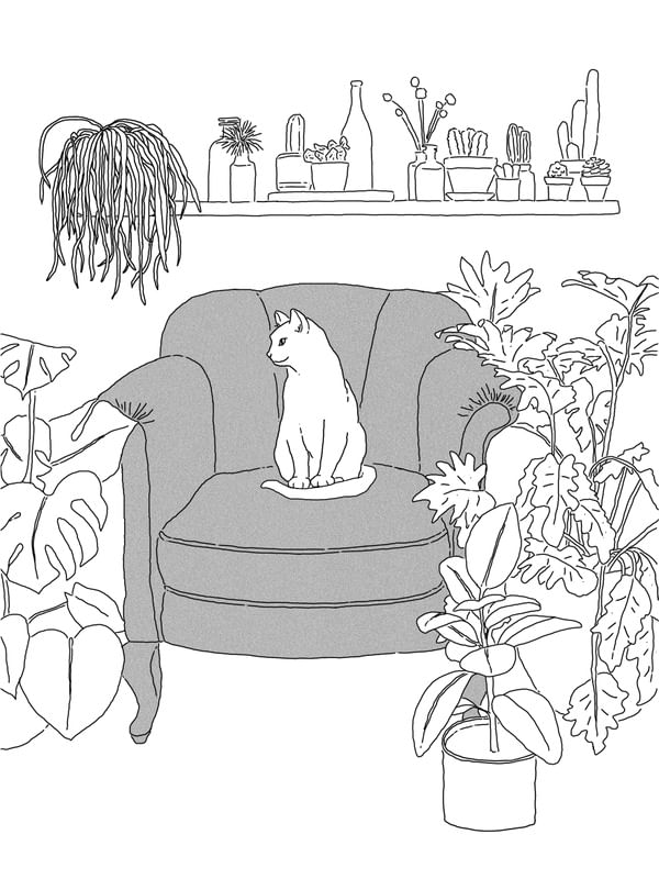 FELINO NA FLORESTA URBANA - CINZA