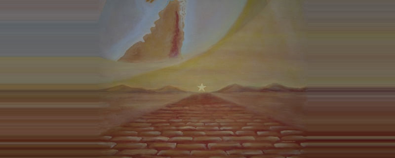 A ESTRADA DA VIDA 05