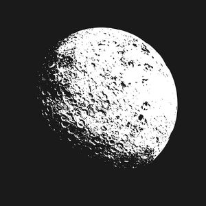 MOON NIGHT
