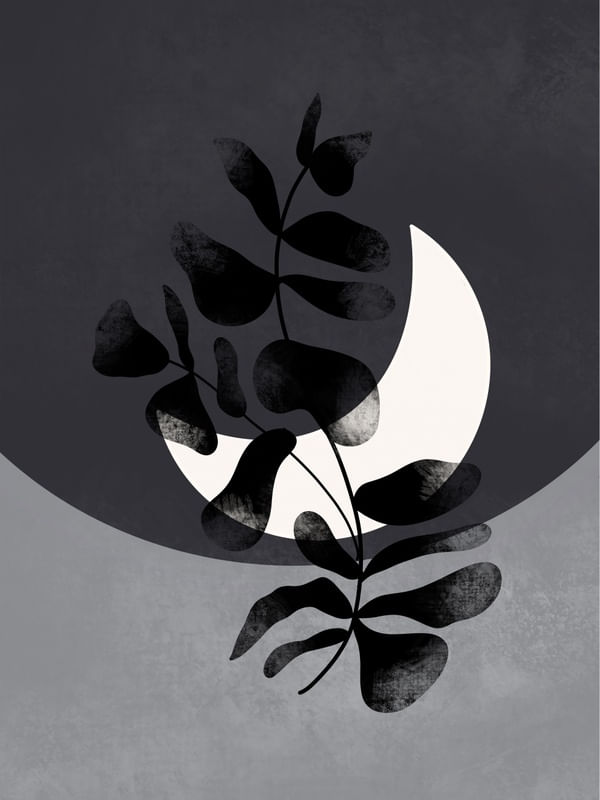 LUNE BY LARI