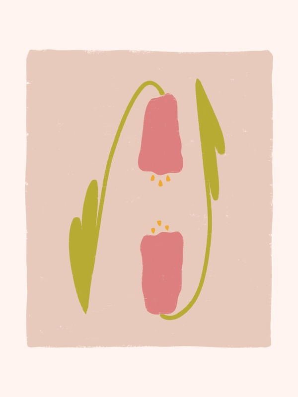 DREAM GARDEN IV