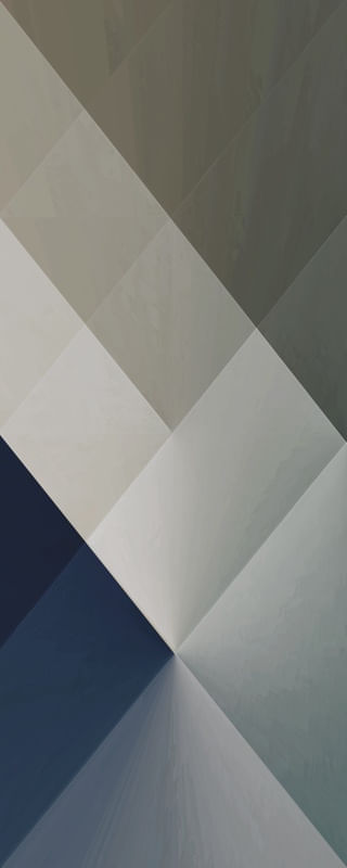 MEMBRANE BLUE SKIN 003