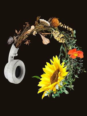 DON T STOP MUSIC