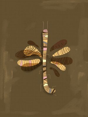 A LIBÉLULA ABSTRATA