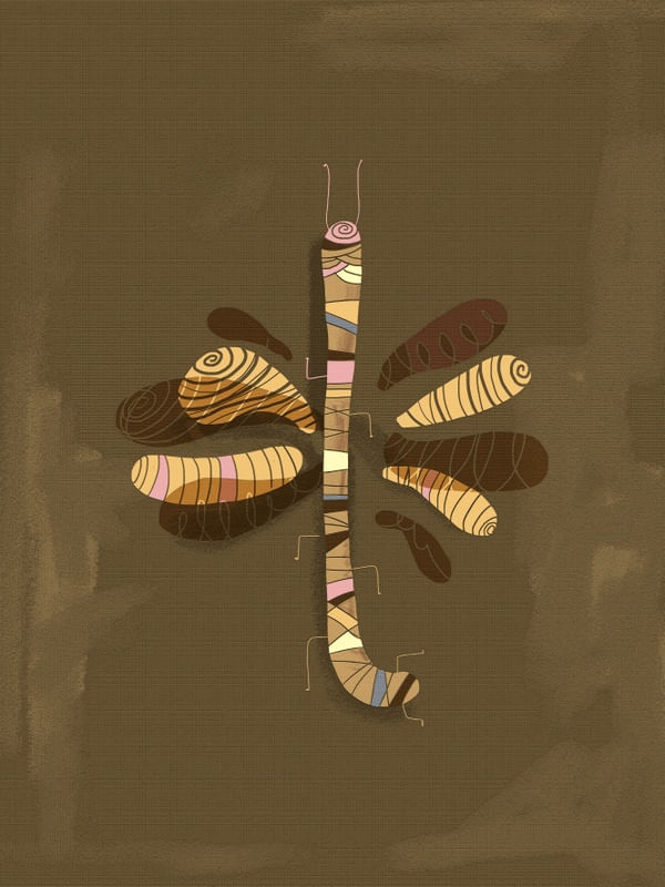 A LIBÉLULA ABSTRATA