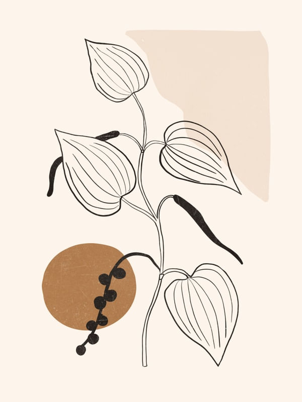 ABSTRACT ART /MINIMAL PLANT 20