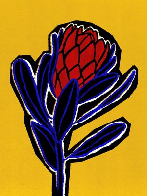 PROTEA VERMELHA