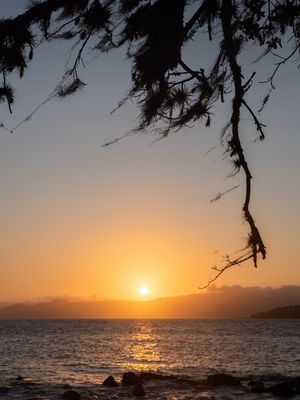 SOL FLORIANOPOLIS