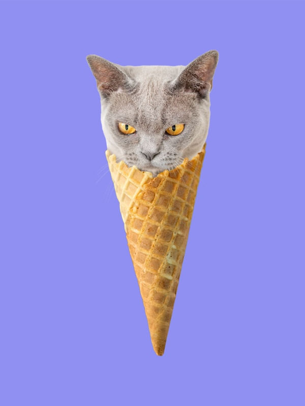 ICE CAT