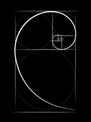 FIBONACCI PRETO