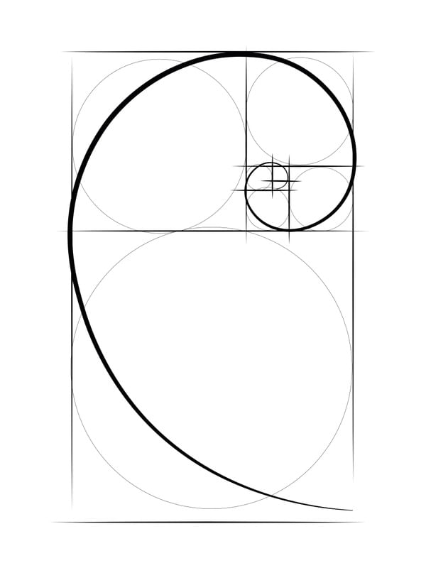 FIBONACCI BRANCO